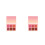 2Pièces Blush Joues 6 Texture Douce Tenue Prolongée 9