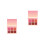 2Pièces Blush Joues 6 Texture Douce Tenue Prolongée 11