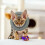 1Pièces Collier Protecteur Chat Récupération En Coton PP Vert 3