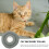 1Pièces Collier Protecteur Chat Récupération En Coton PP Vert 5