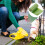 120Pièces Propreté Chat Biodégradables Usage 4
