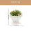 40Pièces Mini Plantes Simulées Plastique Décor Paysage Table Jouet 2