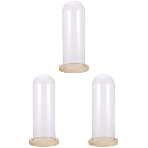 3Pièces Dome Verre Transparent Base Bois Accessoire Pour Séchée 2