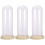 3Pièces Dome Verre Transparent Base Bois Accessoire Pour Séchée 4