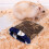 4Pièces De Pour Animaux Multi Couleurs 3