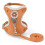 Cat Harness - Escape-Proof - Adjustable - Comfortable - Polyester - Small Pet 1