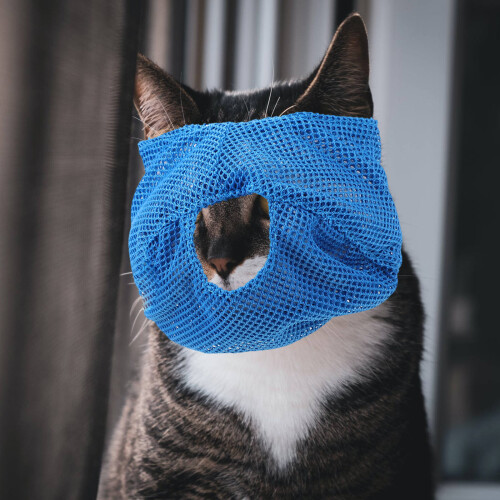 3Pièces Muselière Chat Polyester Respirante Multi-Usage 2