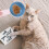 2Pièces Mesurettes Antidérapantes Pour Alimentation Animale 4