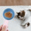 2Pièces Mesurettes Antidérapantes Pour Alimentation Animale 5