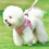 3Pièces Pour Chiot Rose En Matériau Durable Confortable 3