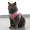 3Pièces Pour Chiot Rose En Matériau Durable Confortable 11