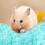 Papier De Couchage Vert Pour Hamsters Petits Rongeurs 9