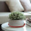 40Pièces Sous-Pots Rouges Robustes Pour Plantes Fleurs D'intérieur 3