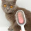 Roseate Silicone Cat Cleaning Comb 19x6x3 cm 12