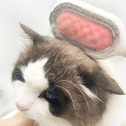 Roseate Silicone Cat Cleaning Comb 19x6x3 cm