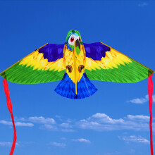 Kinder Papageien-Drachen Spielzeug für den Außenbereich Strand 113x50cm, windresistent