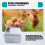 20Pcs Eggs Incubator Set Semi Automatic Household Brooder Farm Chicken  Duck Bird Egg Incubator US Plug 7