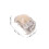 White Bald Cap Wig for Men Comfortable Realistic Old Man Look 3