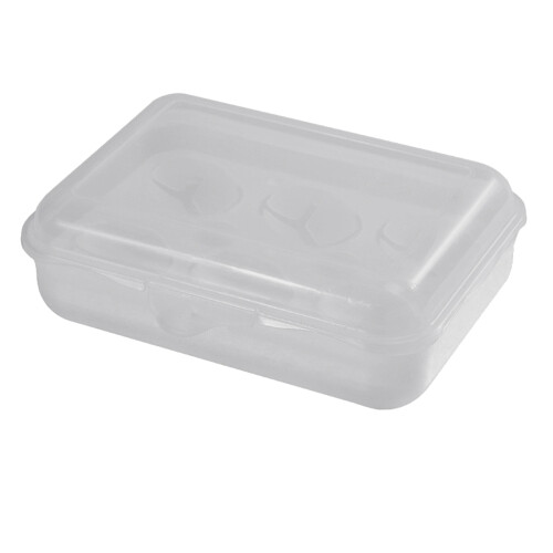 Clear & Sealed Design Egg Storage Solution, Leakproof Shockproof Protection Plastic Egg Storage Box, Snap Sealing Lid Dustproof Container with Lid, 1