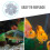 12St Vis Filterkatoen En Actieve Koolpads Aquariums 7