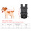 TAILUP S/M Emerald Jungle Pet Carrier Backpack 1