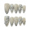 (XS) Flower False Nails - 10PCS Glossy & Reusable 1