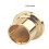 36Pcs Gold Plated RCA Protection Cap Short Circuit Socket Phono Connector RCA Shielding Socket Protect Cover,Gold 6