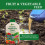 Vitax Vitax Liquid Fruit & Vegetable Feed 1L Plant 5