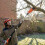 Long Reach Pole Pruner Chainsaw 10" Multi Angle 600w eSkde 7