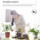 4X  Soil Moisture Meter Moisture Tester Soil Meter Plant Soil Kit Moist Tester Testing Instrument 4