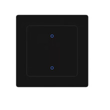 Tuya WiFi Light App Remote Control with for Alexa Home 2-Gang