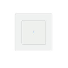 Tuya WiFi Light App Remote Control with for Alexa Home Route 1 Gang