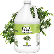 Ficus Boom Mest voor Alle Ficus, Vijgen en Moraceae Planten, Vloeibare Plantenvoeding 1 Gallon (128oz)