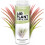 TPS NUTRIENTS Luftpflanzen Dünger für Tillandsia, Folienbesprühung oder Einweichen, 8 oz (250mL) 1