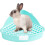 Small Pet Toilet, Rabbit Litter Box, Splash-Proof Cage, Corner Bedding, Blue 2