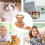 Cat Harness - Escape-Proof - Adjustable - Comfortable - Polyester - Small Pet 4