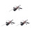 3Pcs Kitchen Fix Angle Sharpener Black with Stainless Steel & Stones 4