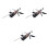 3Pcs Kitchen Fix Angle Sharpener Black with Stainless Steel & Stones 5