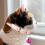 3Pièces Collier Chien Silicone Fluorescent Anti-Perte Coloré 7