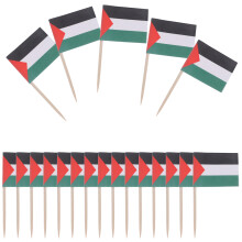 100pcs Palestine Flag Cake Topper Toothpick Small Fruit