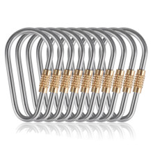 10 Pack Titanium Small Locking Carabiner Carabiner D-Ring Keychain for Indoor Outdoor Backpack Climbing