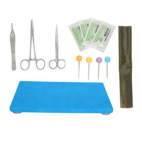 Intestinal Suture Model - Realistic Silicone