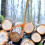 Outil De , Crochet Lourd Pour Déplace Bois 5