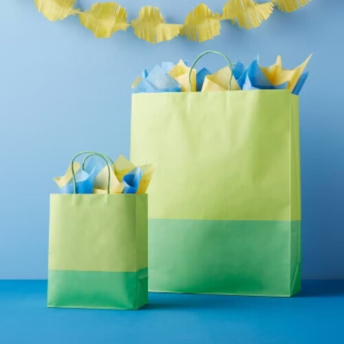 Petit sac vert bicolore 1