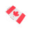 Cape Fan De Football International Pour Stade 3