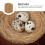 Coussin De Cocotier Pour Perroquets Pigeons Durable 6