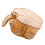5-Compartment Clear Spice Box 1