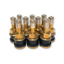 Diez TR501 Válvulas de Bronce Rectas para Camiones o Autobuses de 1.5 pulgadas de TYK Industries