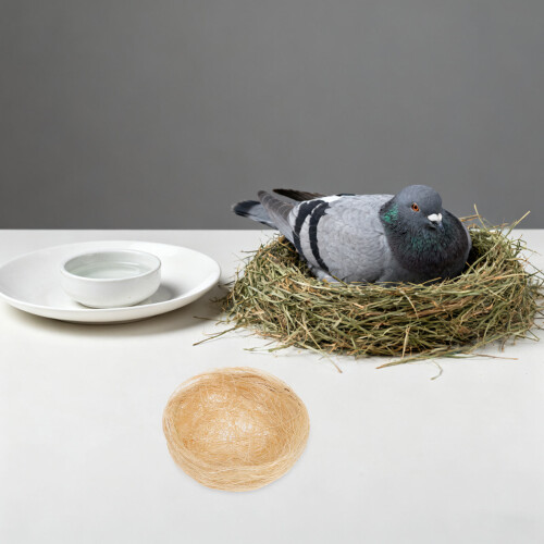10 pièces d'oiseau artificiel rustique pour décoration 2