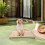 Chiot Bois Naturel Robuste Pour Entraînement Agility 6